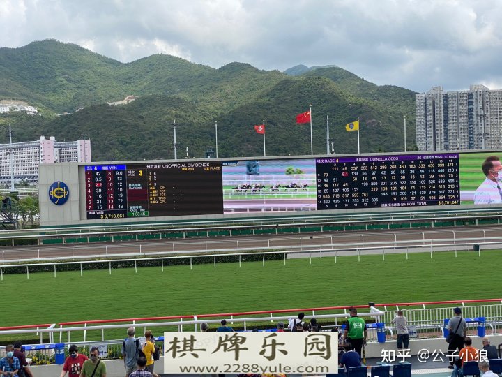 想去香港看赛马比赛怎么买票